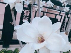 -那家小馆•北京菜•烤鸭(香山店)
