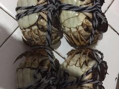 -乡乐园蟹庄·阳澄湖农家乐