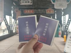 -武汉知音号