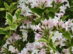 -济南植物园