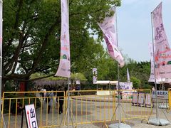 -嘉定紫藤园