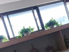 -金塔傣乡·云南民族特色菜·傣味手抓饭(金瓦路店)