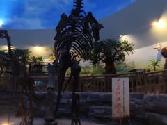 -嘉荫恐龙国家地质公园