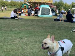 -栖露营camping·天幕烧烤·团建拓展·采摘营地