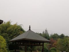 -咸宁万豪温泉谷度假区