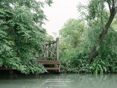 -西溪国家湿地公园