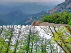 -鲁山国家森林公园