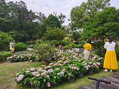 -广西壮族自治区药用植物园