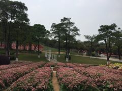 -松山湖梦幻百花洲