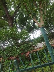 -Zoolung Zoolung动物主题公园(海信广场店)