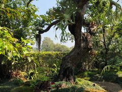 -Chom Cafe and Restaurant