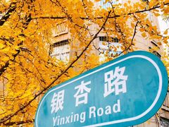 -辽宁大学(崇山校区)