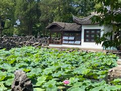 -无锡蠡湖国家湿地公园-蠡园