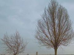 -亿利库布其七星湖沙漠生态旅游区