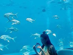 -瑞德姆美人鱼海底演艺主题餐厅(亚龙湾店)