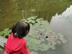 -红烧鱼头·杭帮菜·特色烧烤