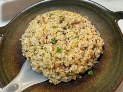 -蘑统田下·野生菌火锅