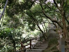 -火炉山森林公园