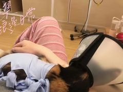 -伟伟宠物医院·CT影像中心·瑞派犬猫综合性门诊(汉口总院)