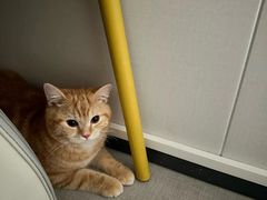 -荔康动物医院(康王北路店)