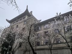 -武汉大学-樱园