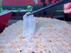 -官塘陈记鱼生·潮汕砂锅粥·牛肉火锅(潮枫路总店)