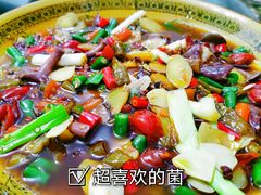 泡椒牛肝菌-丁丁厨娘