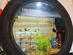 -陶野咖啡·面包披萨