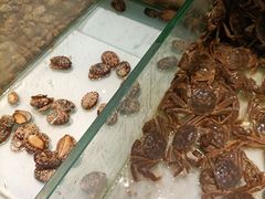-鼎香缘海鲜自助火锅烤肉(锦辉购物广场店)