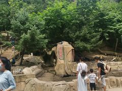 -哈尔滨北方森林动物园