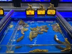 -万宝海鲜舫(劳动公园店)