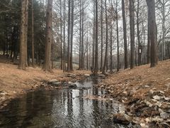 -白水寺森林公园