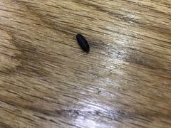 -沙县小吃(龙阳广场店)