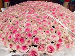 -循礼门鲜花花市(武汉循礼门店)