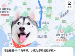 -平安（深圳）金融教育培训中心
