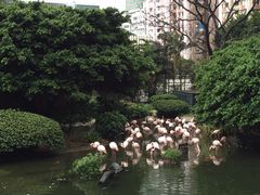 -九龙公园