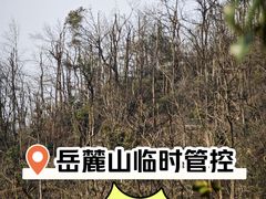 -岳麓山风景名胜区