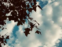 -杭州城北体育公园