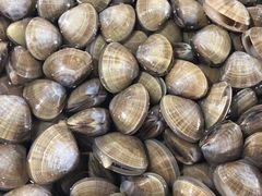 -常家活海鲜小吃(仅一家无分店)