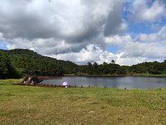 -海南热带雨林国家公园吊罗山景区