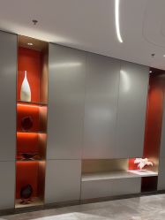 -深圳米兰柏羽医疗美容医院