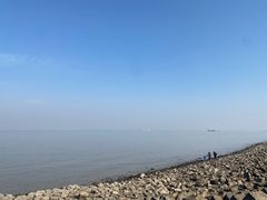 -上海滨江森林公园
