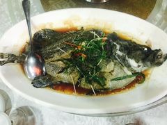 -华兴大酒楼(亿宝大厦店)