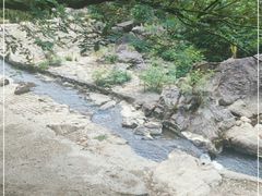 -泽雅七瀑涧景区