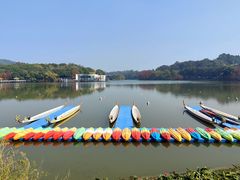 -鹿鸣酒家(越秀店)