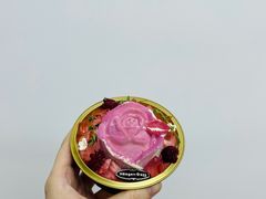 掌心玫瑰情定马卡龙版外带冰淇淋-哈根达斯(绍兴银泰店)