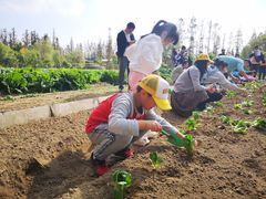 -前小桔亲子创意农场·草莓采摘·露营烧烤