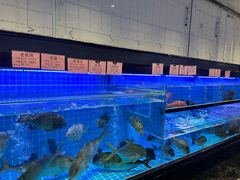 -渔文乐·海鲜大排档(壹品总店)