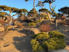 -罗红摄影艺术馆