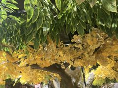 -城墙拐拐火锅(三峡广场黑金冠店)